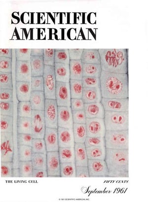 Scientific American Magazine Vol 205 Issue 3