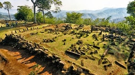 stories by livescience scientific