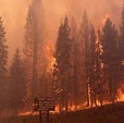 Yellowstone Rebounded from an Epic 1988 Fire--That May Be Harder in Future