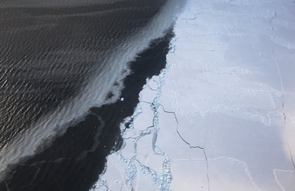 Declining Antarctic Sea Ice Could Disrupt a Major Carbon Sink