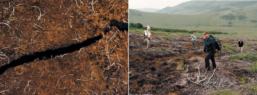 A crack in the ground; Four men standing in a landscape with an area of dead vegetation, within a larger area of green vegetation.