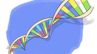 Make a Colorful DNA Double Helix