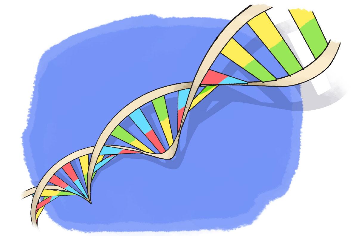 DNA vs. RNA – 5 Key Differences and Comparison | Technology Networks
