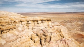 gobi desert dinosaur eggs