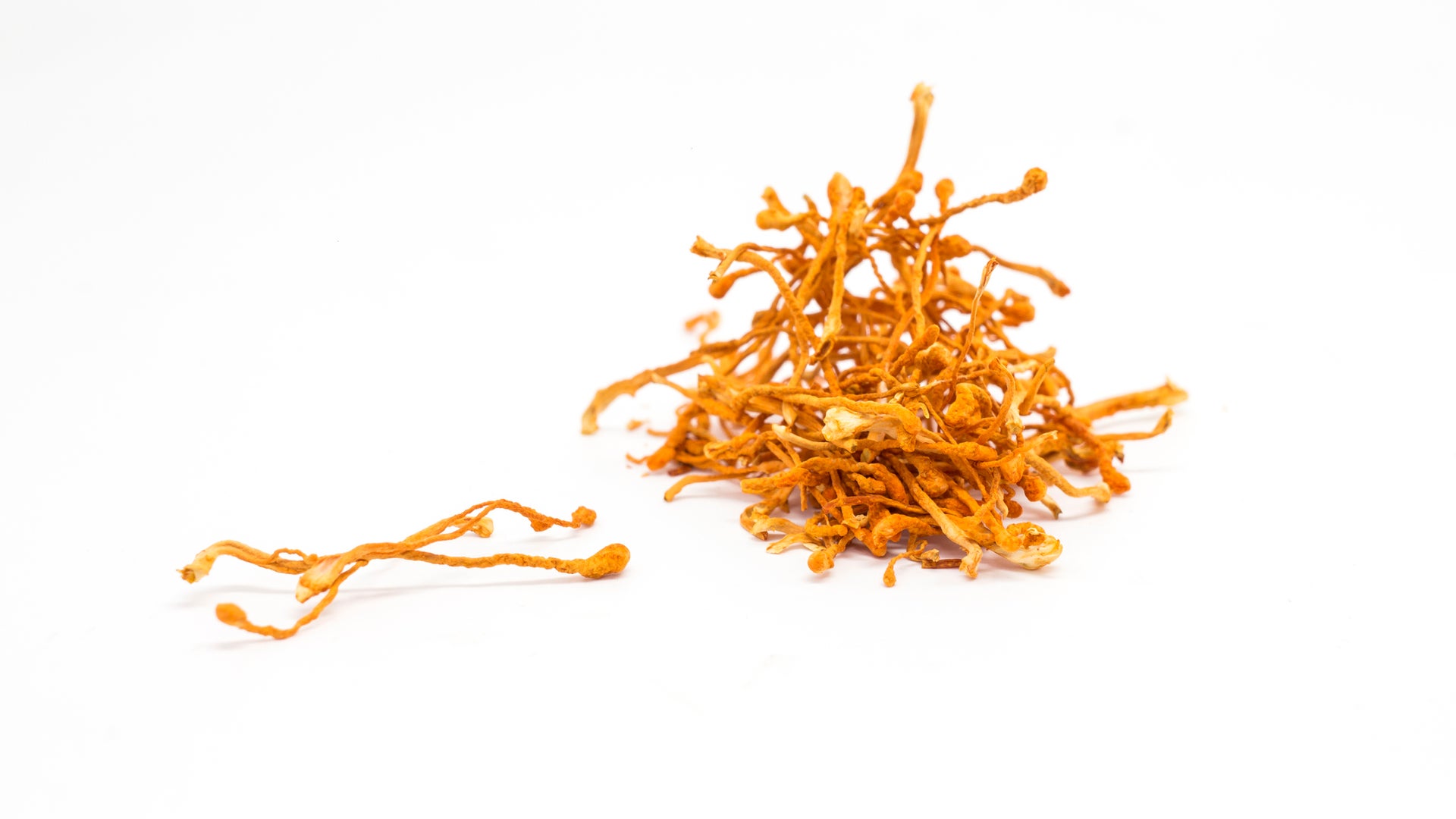 The Scientific Evidence for the Health Benefits of Cordyceps | Scientific  American