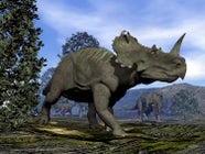 Google Show Me Pictures Of Dinosaurs Art floppy