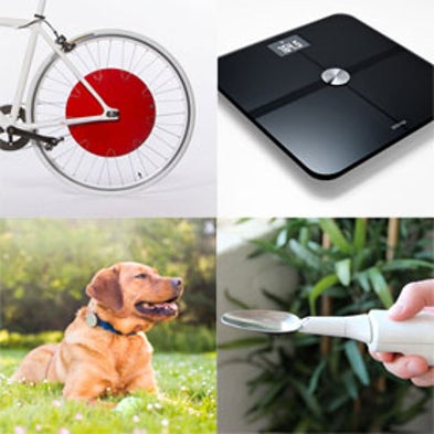 <i>Scientific American</i>'s 2013 Gadget Guide: 10 Technologies You Need to See [Slide Show]