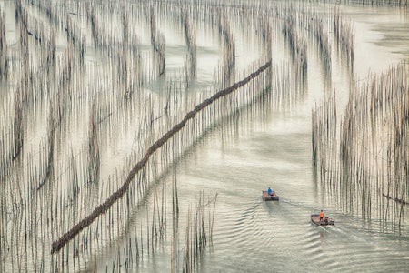 A small boat cruising in the middle of bamboo sticks in the sea.