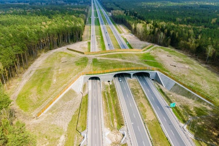 Turf-covered passage over expressway creating safe way for animals to cross road.