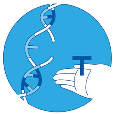 大众科学 Logo