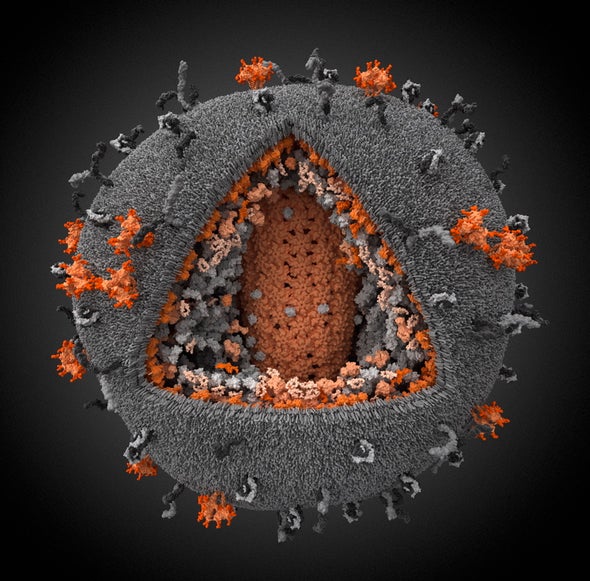 Prize-winning 3-D digital simulation of an HIV particle