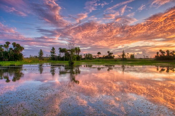 A vibrant sunrise in the beautiful natural surroundings of Orlando Wetlands Park in central Florida