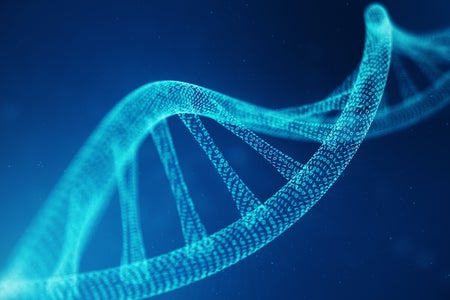 A double helix whose strands are covered in tiny numbers.