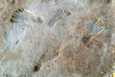 Human footprints discovered in White Sands National Park