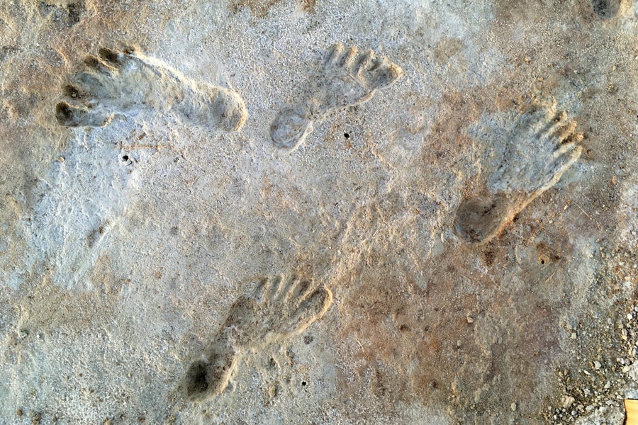 Ancient Footprints Affirm People Lived in the Americas More Than 20,000 ...