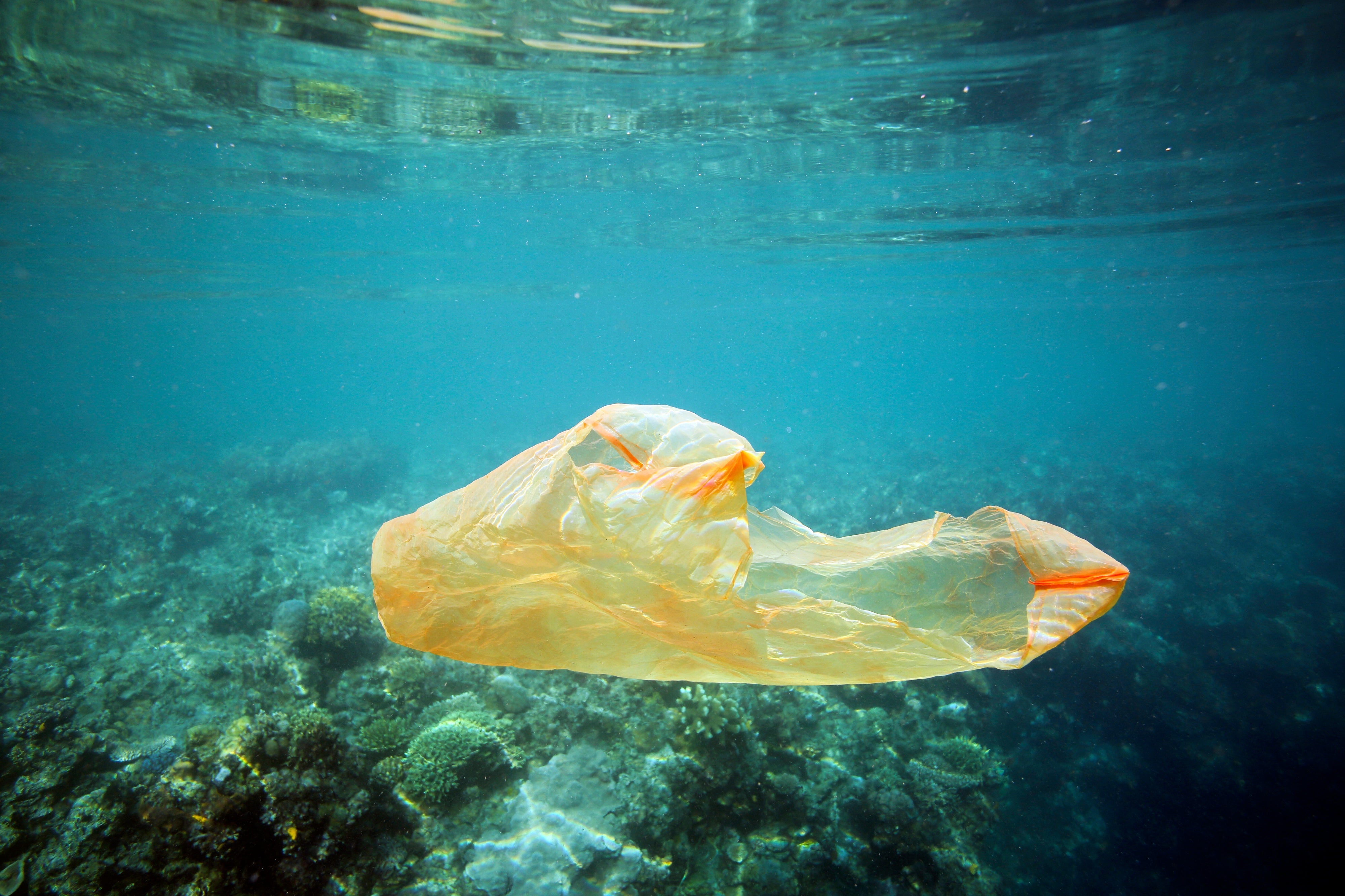 Great barrier reef 2025 plastic pollution facts