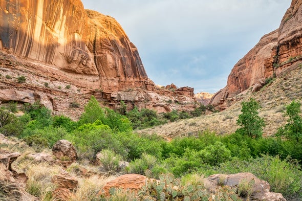 America's Maps Are Full of Racial Slurs--and That Needs to Change