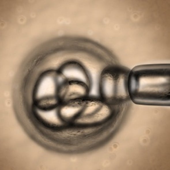 Francis Collins, Lawmakers Debate Stem Cell Merits