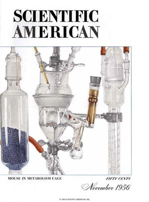 Scientific American Magazine Vol 195 Issue 5