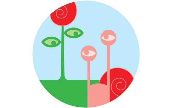 Plants "Eavesdrop" on Slimy Snails