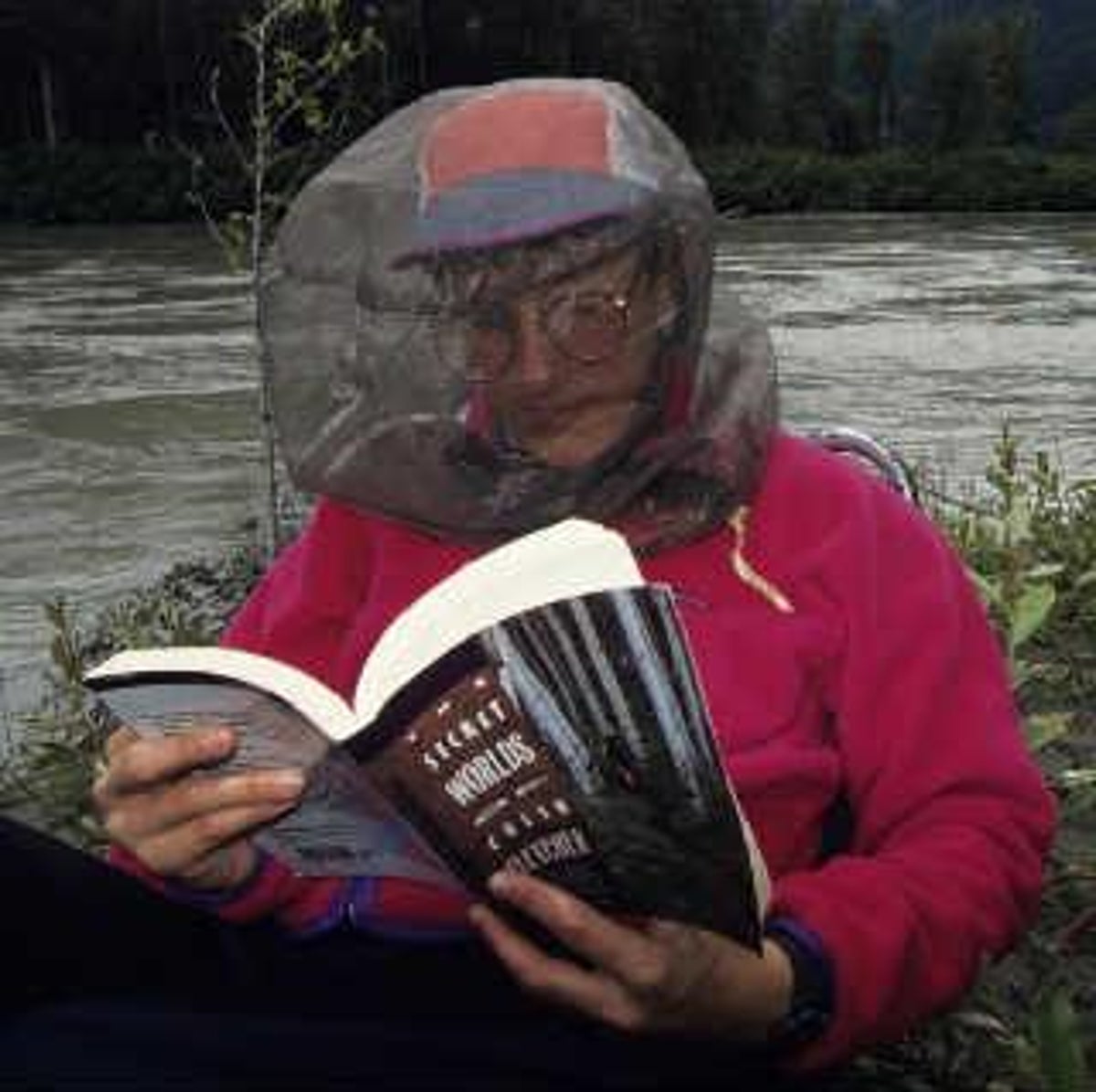 Is it true that the DEET used in most mosquito repellents is toxic