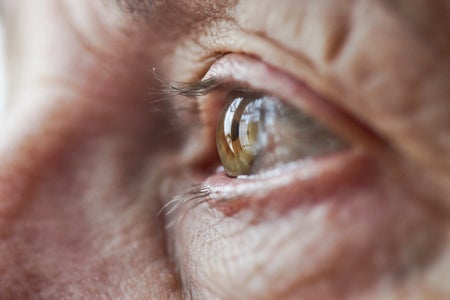 The eye of an eldely woman, seen in profile and extremey close up.