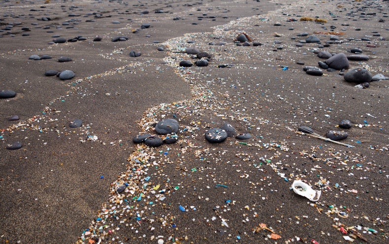 Microplastics Pollution Is Everywhere. Is It Harmful? - Scientific American