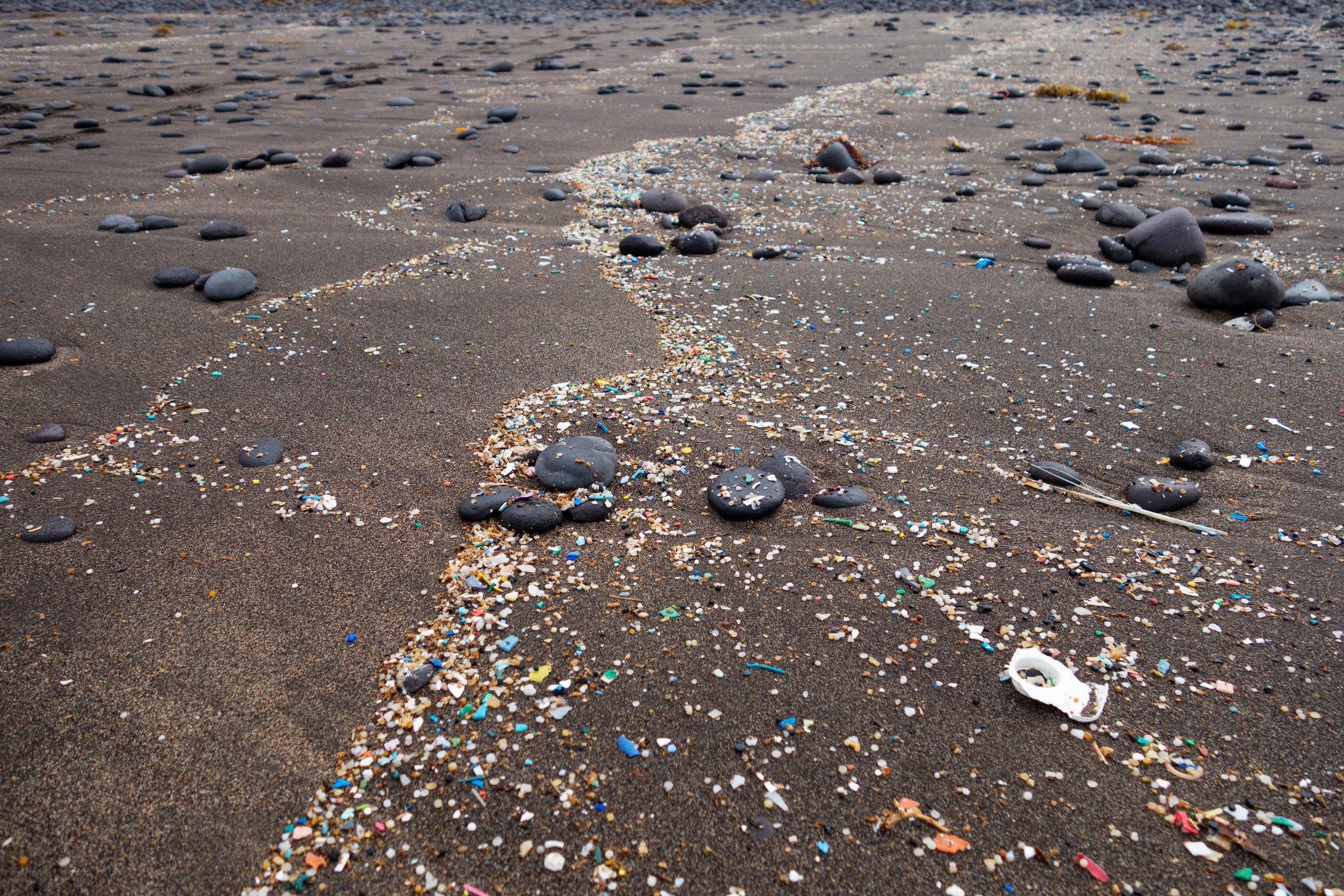 Plastic scattered on beaches