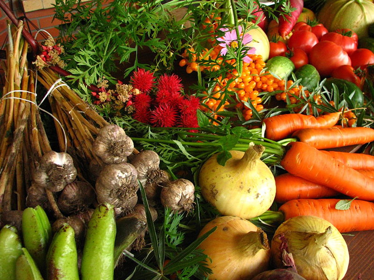 3 Ways to Make Your Diet More Sustainable | Scientific American