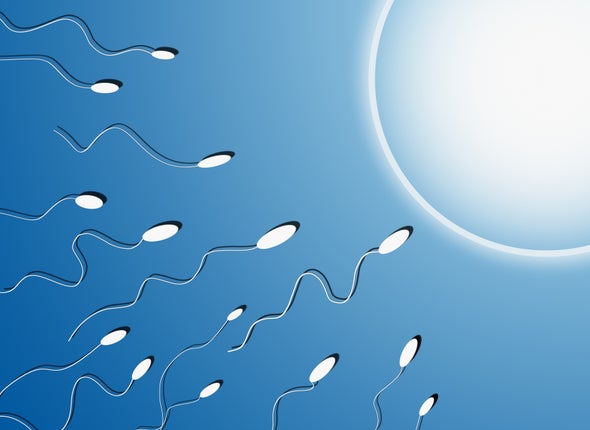 Obese Dad's Sperm May Influence Offspring's Weight