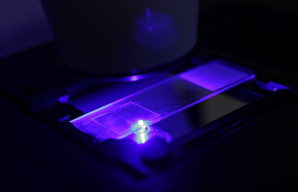 laser scanning microscope