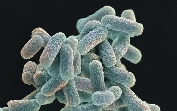 Engineered Microbe Shakes Up the Tree of Life