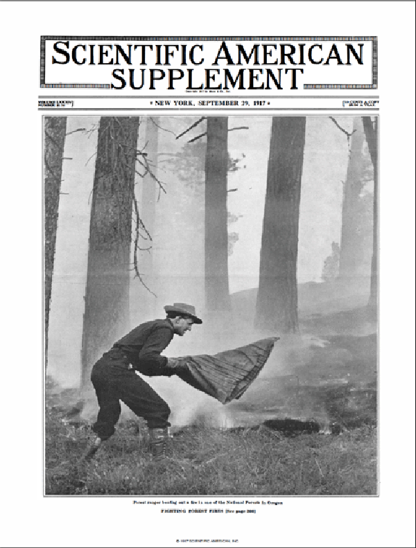 SA Supplements Vol 84 Issue 2178supp