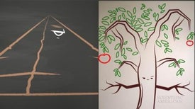 Epic Math Battles: LEGO versus Trees