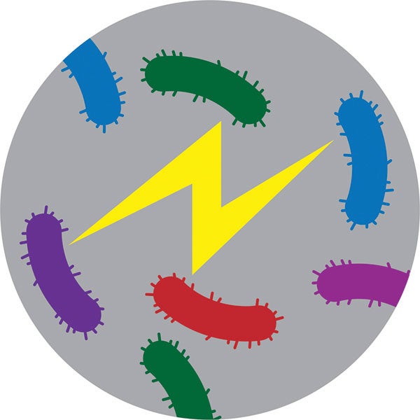 Bacteria Can Convey Electrical Messages the Same Way Neurons Do