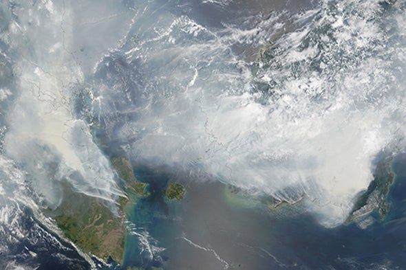 Hellish Fires in Indonesia Spread Health, Climate Problems