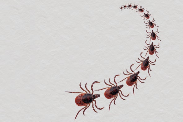 Lyme and Other Tick-borne Diseases Are on the Rise--But Why?