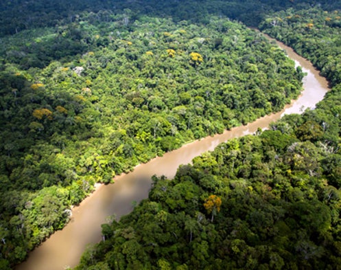 Mass Deaths in Americas Start New CO2 Epoch