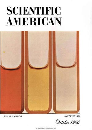 Scientific American Magazine Vol 215 Issue 4