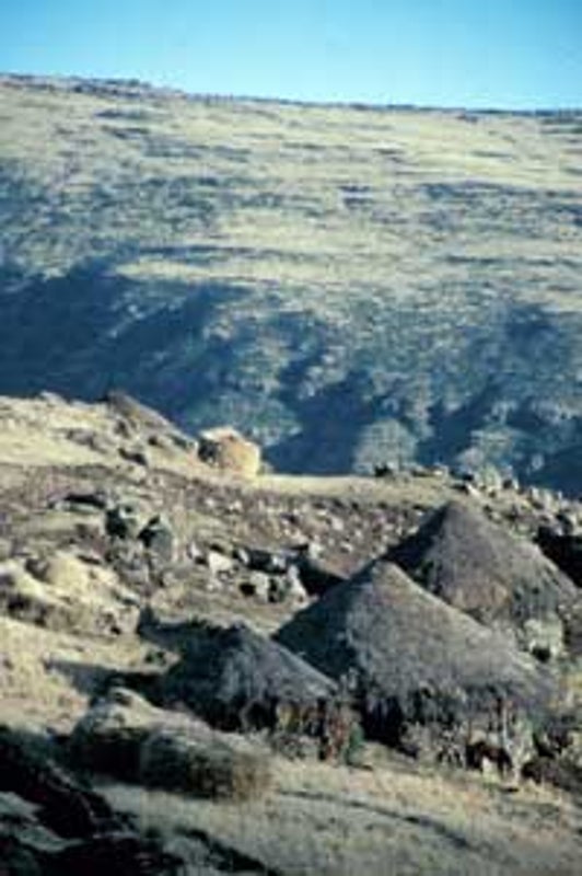 Scientists Discover New Adaptation to Oxygen-Poor Air at High Altitudes