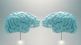 We Can Now Send Thoughts Directly between Brains