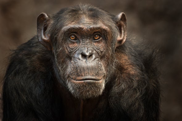 Drenchable Drones, Prickly Cells and Face-Tracked Chimps: Science GIFs to Start Your Week