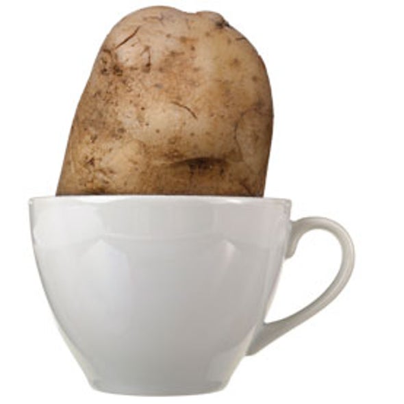 A Coffee Sleuth Delves into the Mystery of "Potato Taste"
