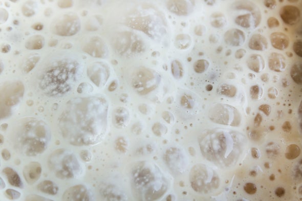 Rising High: GM Yeast Generates Known and Novel Marijuana Compounds