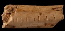 How Did Neanderthals and Other Ancient Humans Learn to Count?