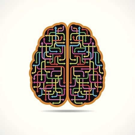 illustration of the human brain