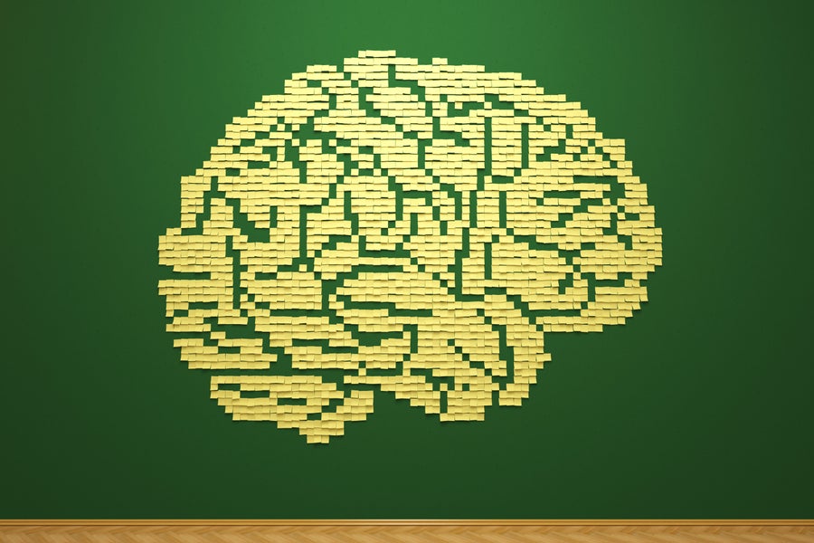 What Is the Memory Capacity of the Human Brain? | Scientific American