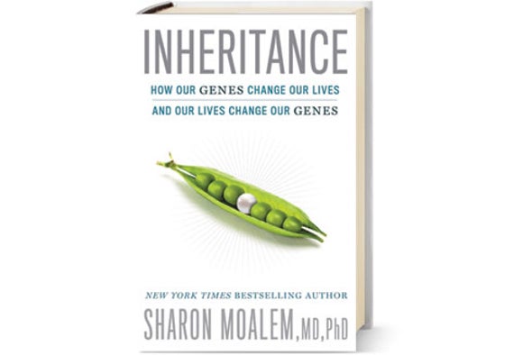 <em>MIND</em> Reviews: <em>Inheritance</em>