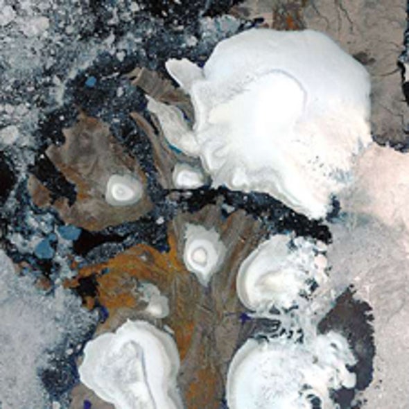 Shades of "Gray Literature": How Much IPCC Reform Is Needed?