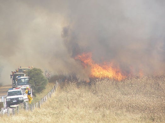 Misguided Wildfire Strategy Should Change